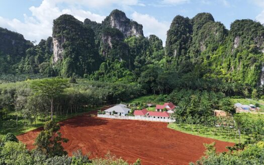 Stunning Mountain View Land for Sale