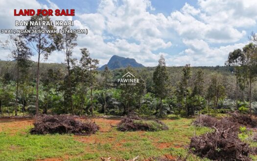 Mountain View Land Ban Nai Rai