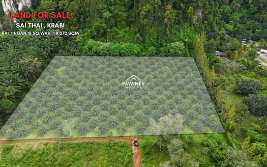 Mountain View Land Sai Thai